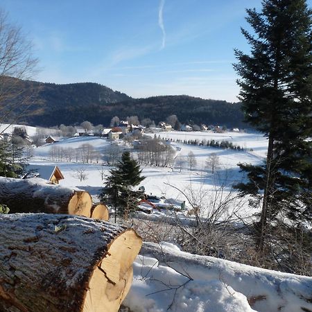 Locations Dupertuis Alsace Apartment Le Hohwald Ngoại thất bức ảnh