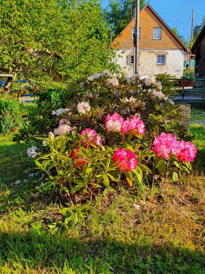 Locations Dupertuis Alsace Apartment Le Hohwald Ngoại thất bức ảnh