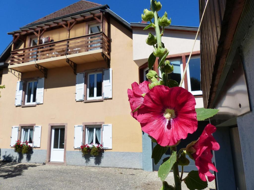 Locations Dupertuis Alsace Apartment Le Hohwald Ngoại thất bức ảnh